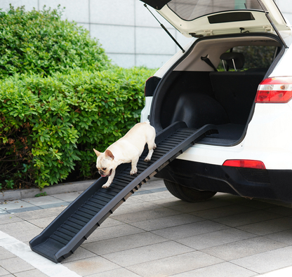 PetPal Folding Stairs