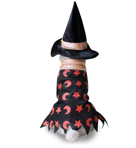 Prision & Halloween Pup Outfit