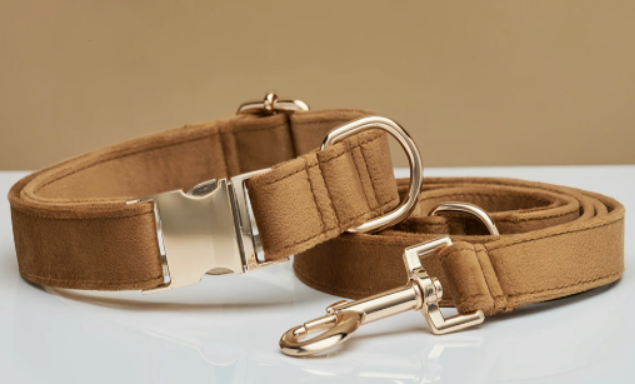 Stylish Collar  Comfort Set