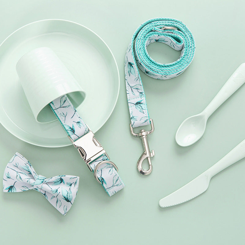 Tropical Paws Collar Set