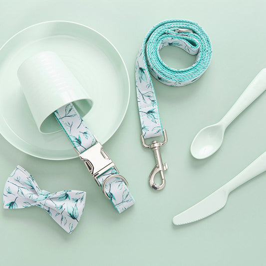 Tropical Paws Collar Set