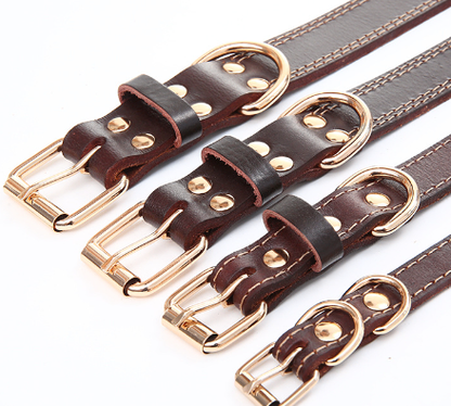 Chic Leather Collar
