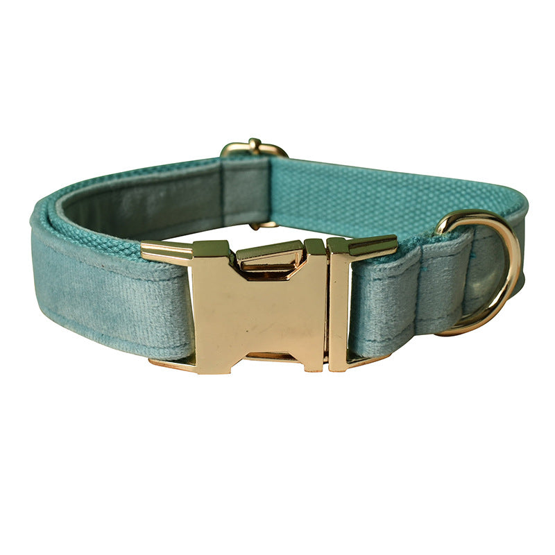 Velvet Luxe Golden Buckle Collar