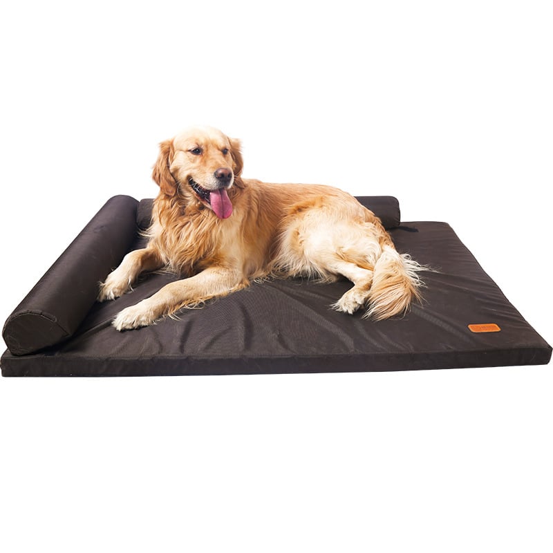 Cozy Washable Medium Dog Bed
