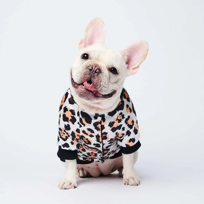Chic Pet Winter Jackets
