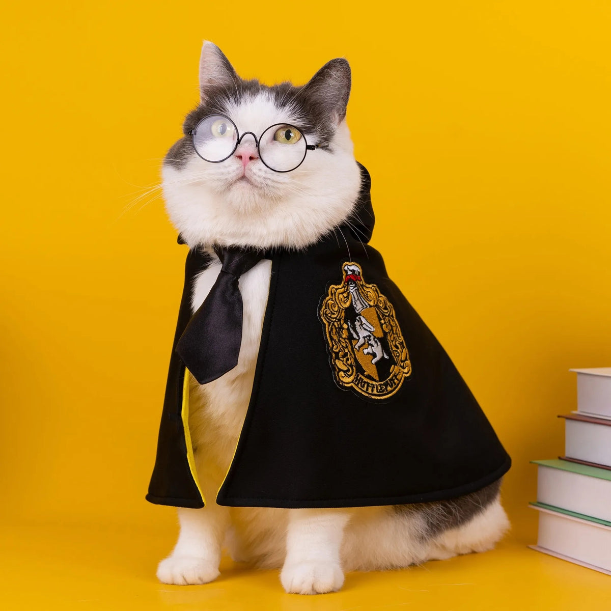 Magical Pet Cape