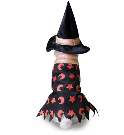 Prision & Halloween Pup Outfit