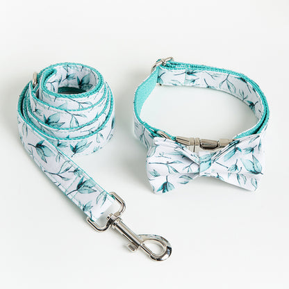 Tropical Paws Collar Set