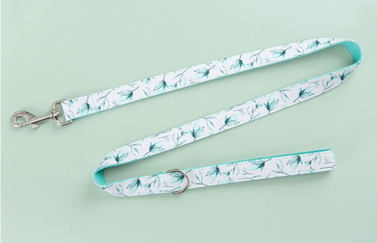 Tropical Paws Collar Set
