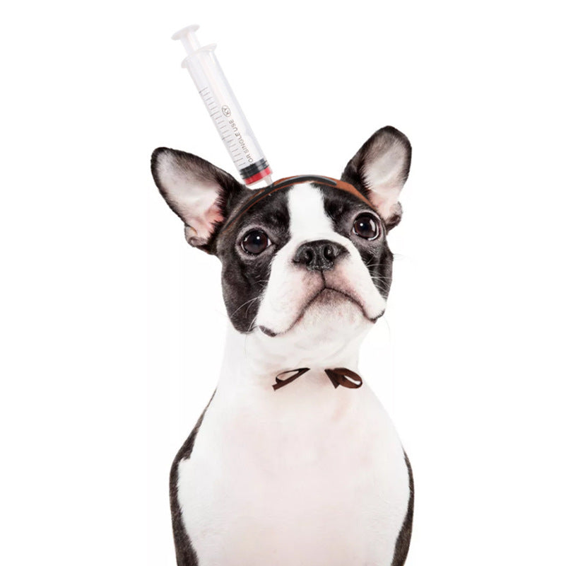 Spooky Pet Party Hat
