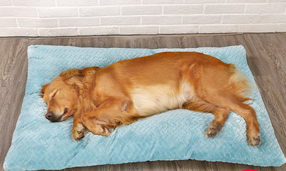 Cozy Plush Comfort Dog Bed