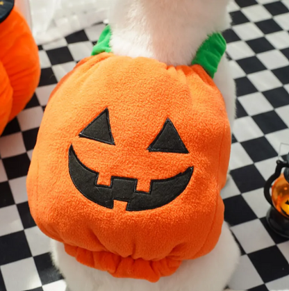 Pumpkin Paws