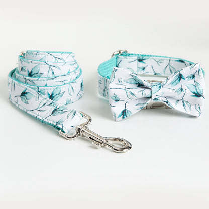 Tropical Paws Collar Set