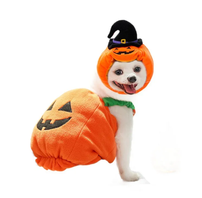 Pumpkin Paws