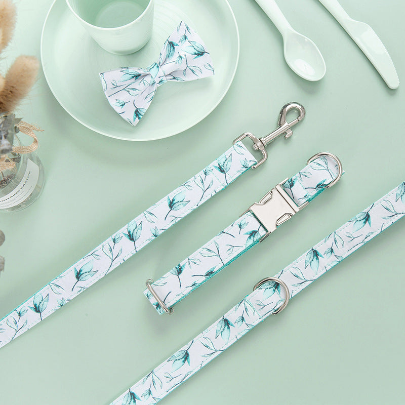 Tropical Paws Collar Set