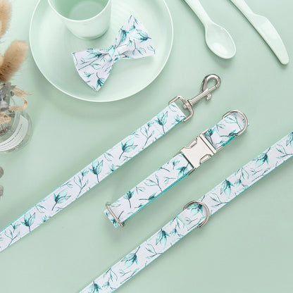 Tropical Paws Collar Set