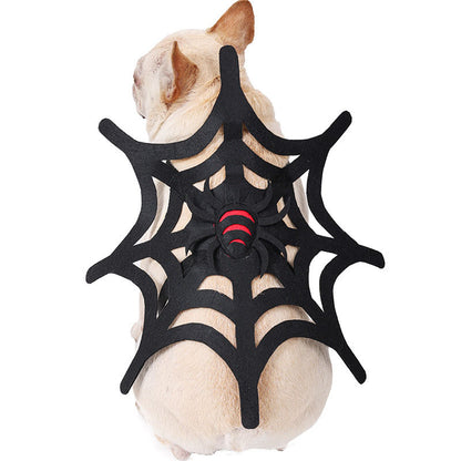 Spooky Pet Spider Costume