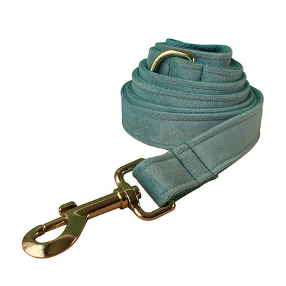 Velvet Luxe Golden Buckle Collar