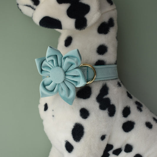 Velvet Luxe Golden Buckle Collar