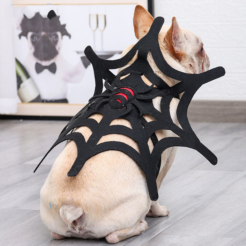 Spooky Pet Spider Costume