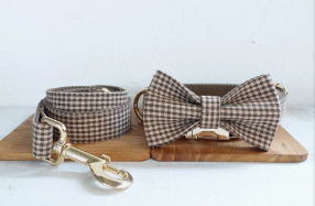 Chic Pup Plaid Leash Set