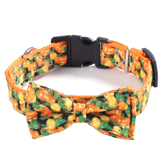 Pumpkin Collars