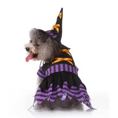 Spooky Paws Costumes
