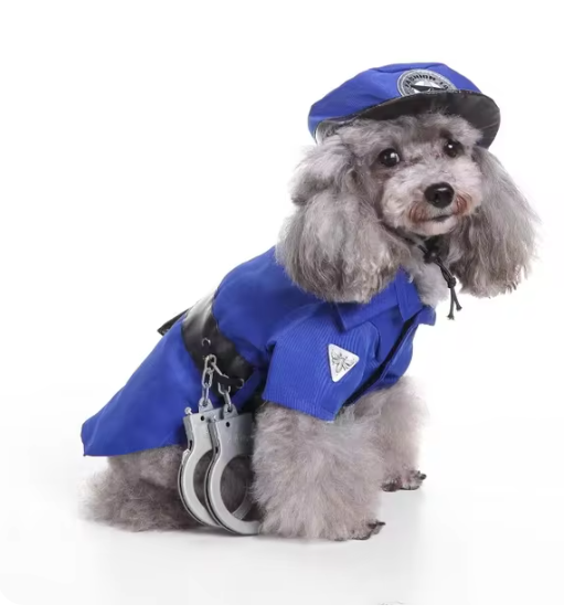 Prision & Halloween Pup Outfit