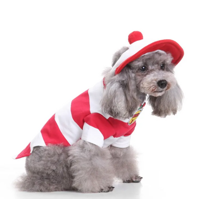 Prision & Halloween Pup Outfit