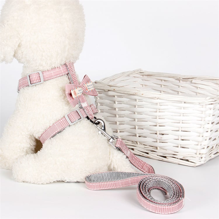 Chic Bow Lattice Pet Leash