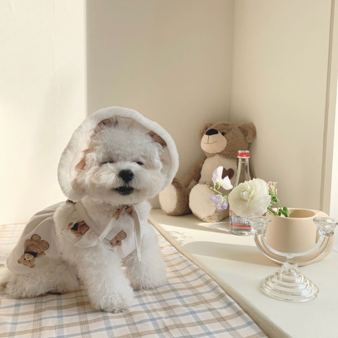 Bear Charm Dog Skirt