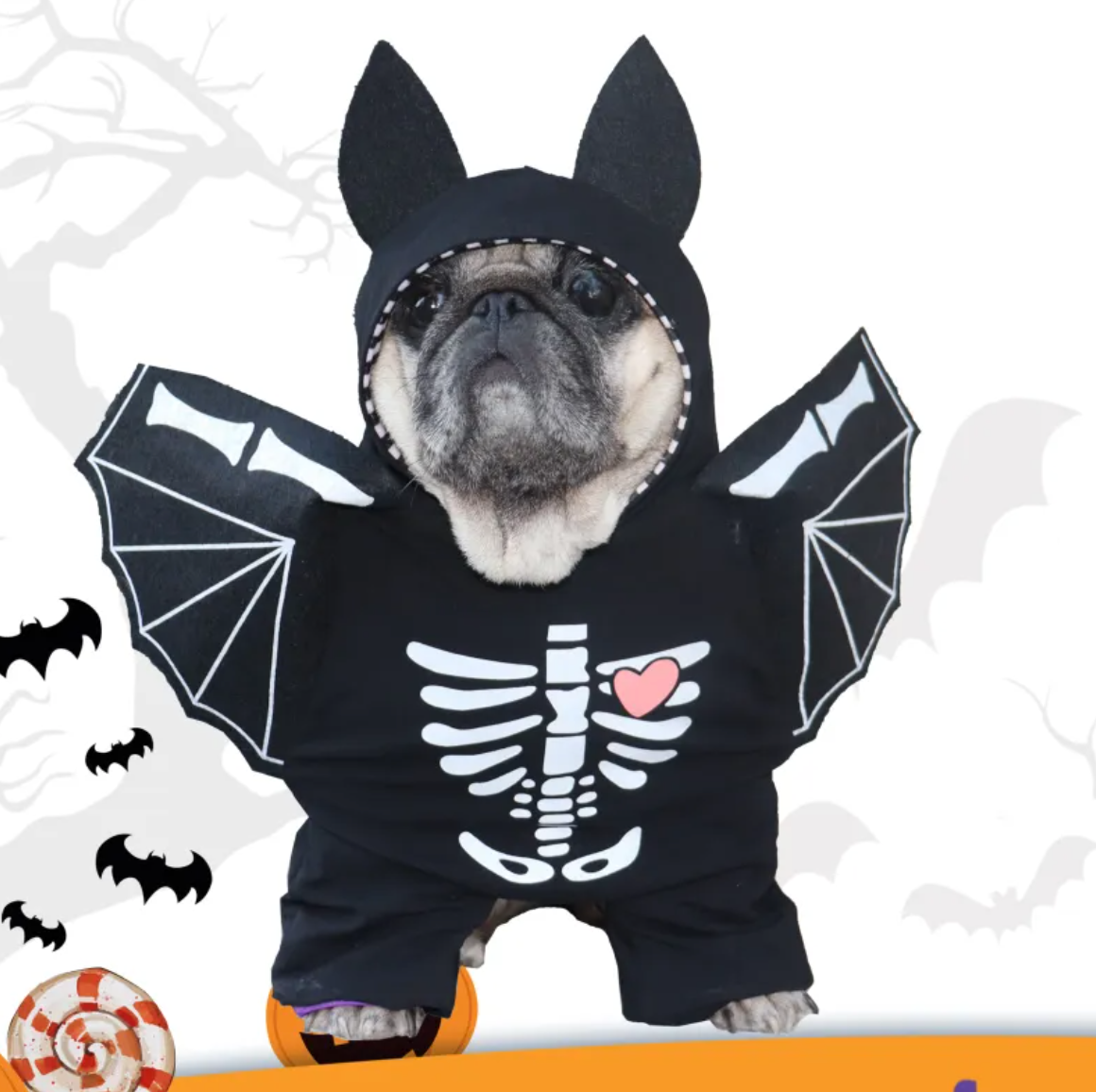 Batty Pup Outfit