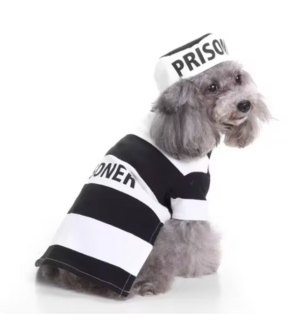 Prision & Halloween Pup Outfit