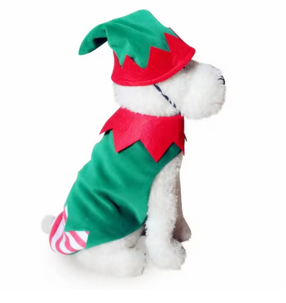 Prision & Halloween Pup Outfit